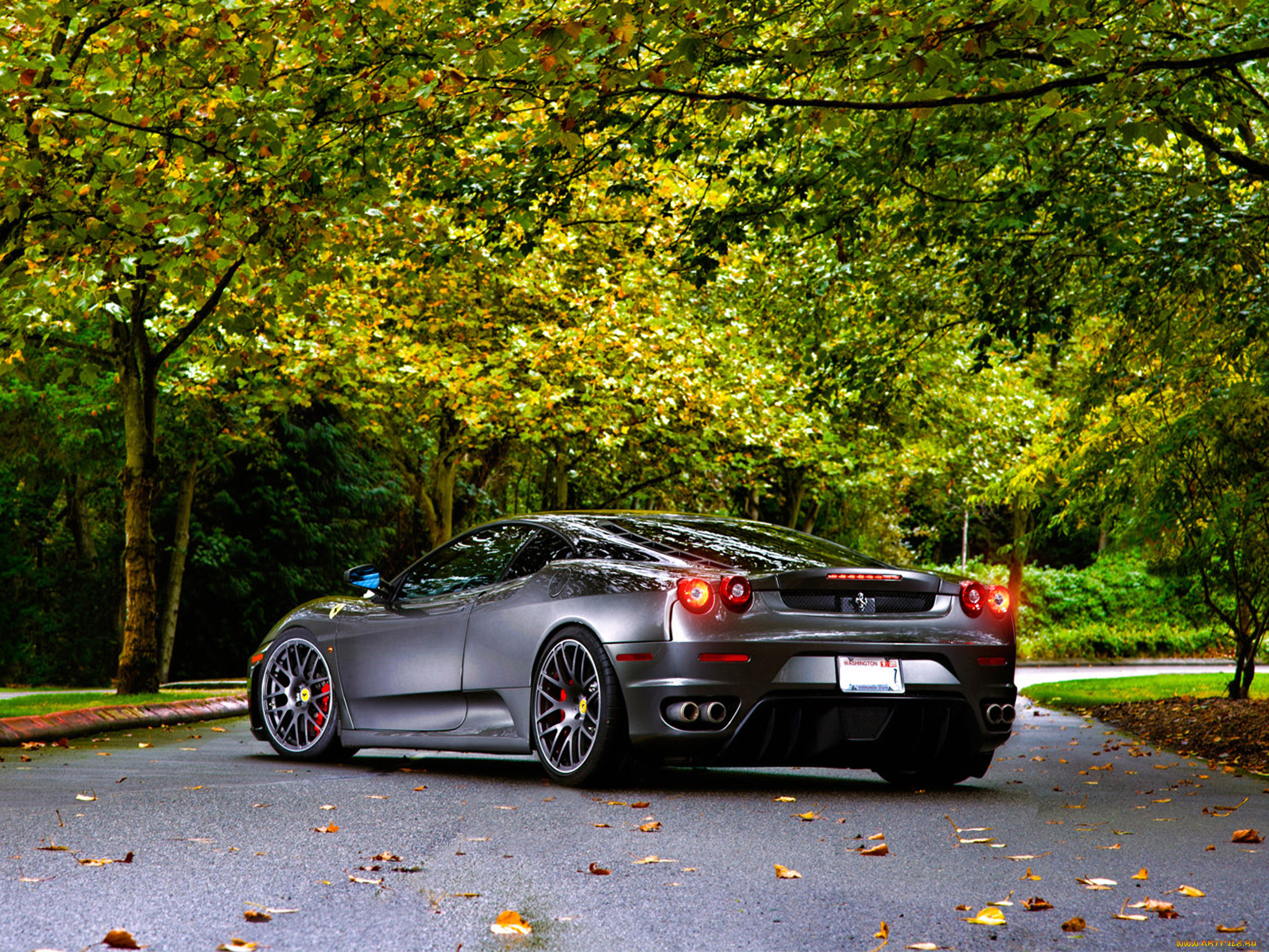 Маш лета. Ferrari f430 Grey. Ferrari f430 Green. Красивые машины на природе. Тачки на природе.